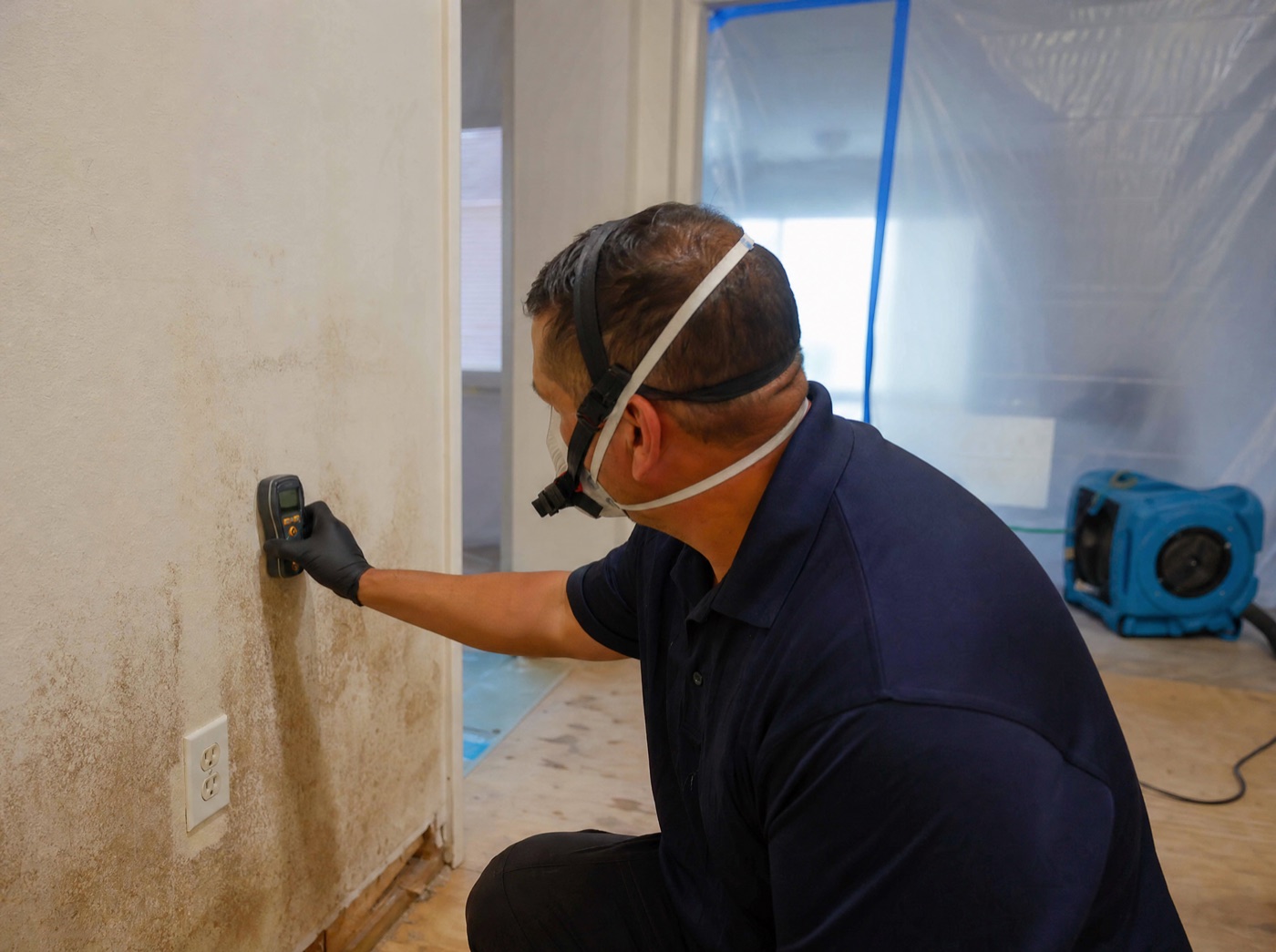 Technician taking a moisture reading on water-stained drywall during mold remediation