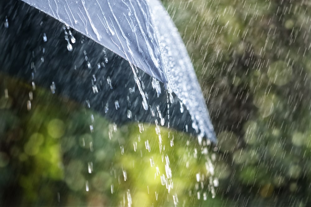 Does Your Project Need a Storm Water Pollution Prevention Plan?